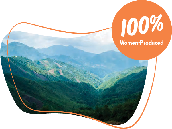 100% Women Produced - Mountain range in the area of Vera Cruz, Mexico where Glory Days coffee is produced.